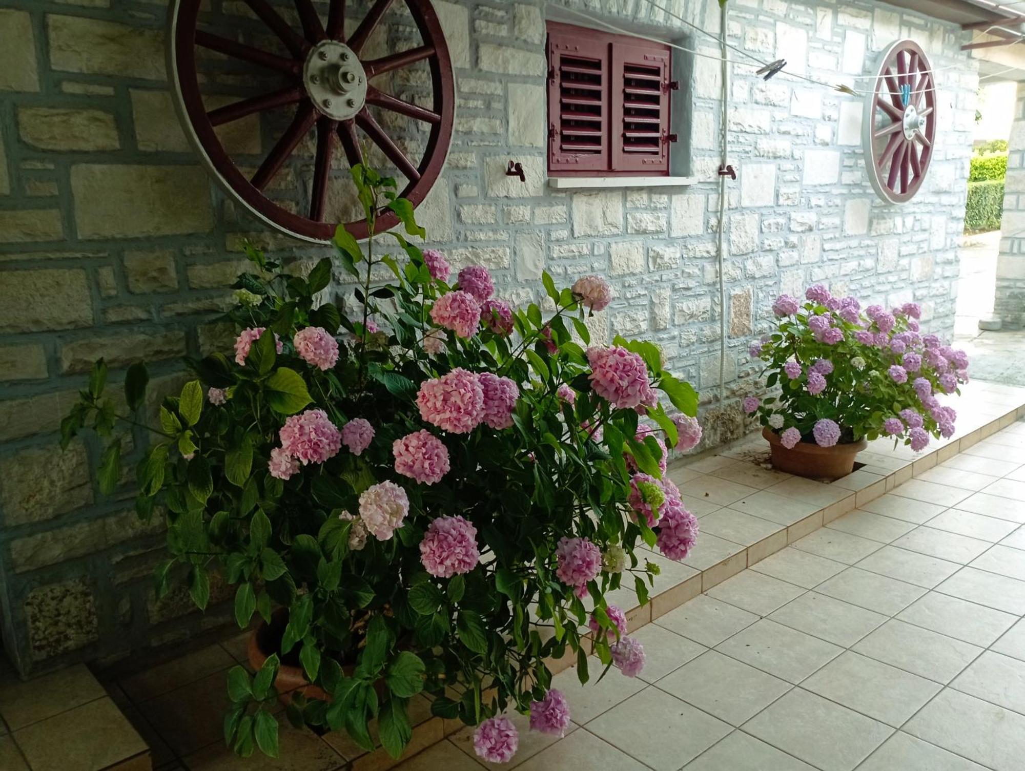 Apartman Sunce Умаг Экстерьер фото